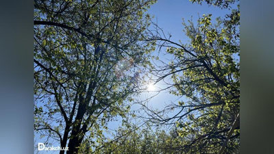 'O`zbekistonda aprel oyida qanday ob-havo kuzatiladi?'ning rasmi