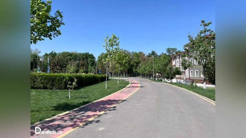 'Bugun yog`ingarchiliksiz, iliq ob-havo bo`ladi'ning rasmi