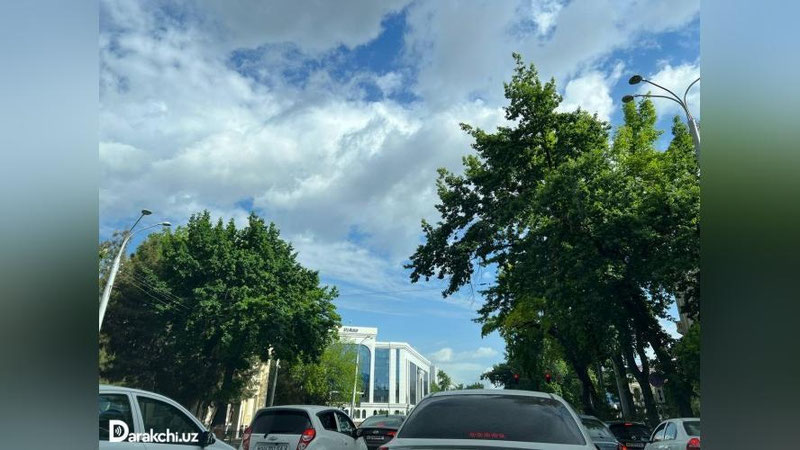 'Bugundan harorat sezilarli darajada pasayadi'ning rasmi