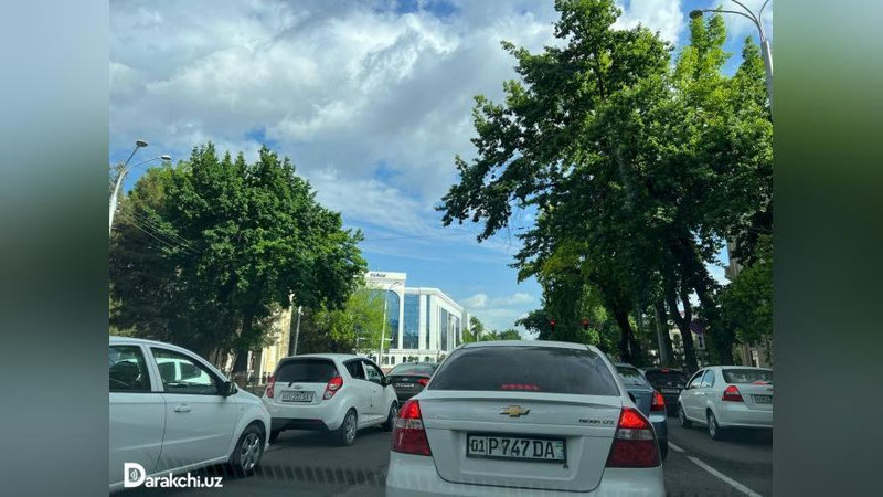 'Bugun yog`ingarchiliksiz, iliq ob-havo kuzatiladi'ning rasmi