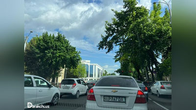 'Bugun yog`ingarchiliksiz, iliq ob-havo kuzatiladi'ning rasmi