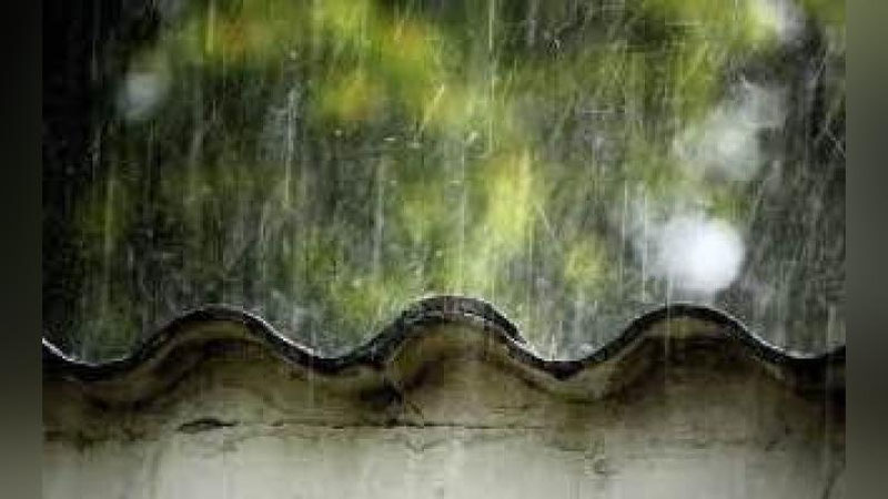 'Bugun yomg`irli ob-havo bo`lishi prognoz qilindi'ning rasmi