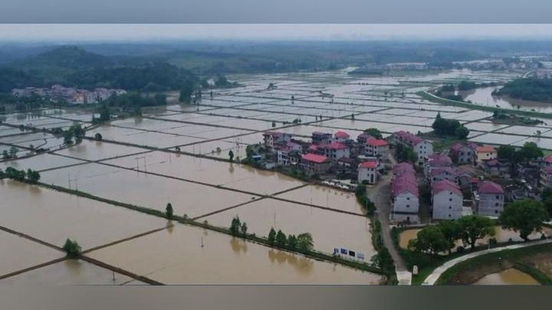 'Xitoyda 500 mingdan ortiq odam toshqindan jabr ko`rdi'ning rasmi