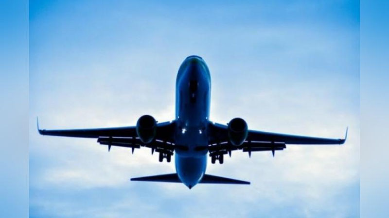 'Sankt-Peterburgda arilar sababli reyslar kechiktirilmoqda'ning rasmi