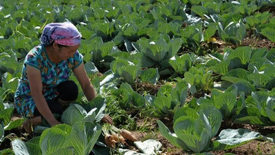 'Endilikda shaxsiy tomorqasiga ega bo`lgan shaxslarga ham staj hisoblanishi mumkin. Faqat...'ning rasmi