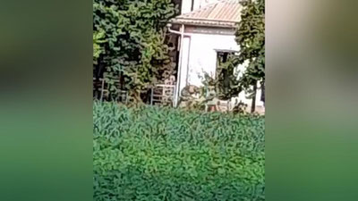 'Surxondaryoda erkak ayolini dalada ishlamagani uchun kaltakladi (video)'ning rasmi