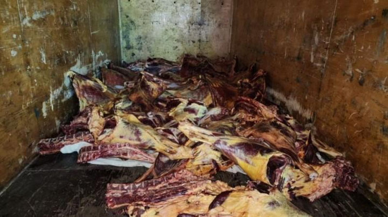 'Samarqanddan Toshkentga qariyb 1 tonna iste`molga yaroqsiz go`shtni olib kirmoqchi bo`lgan shaxs qo`lga tushdi'ning rasmi