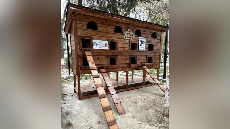 'Toshkentda mushuklar uchun mehmonxona qurildi'ning rasmi