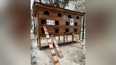 'Toshkentda mushuklar uchun mehmonxona qurildi'ning rasmi