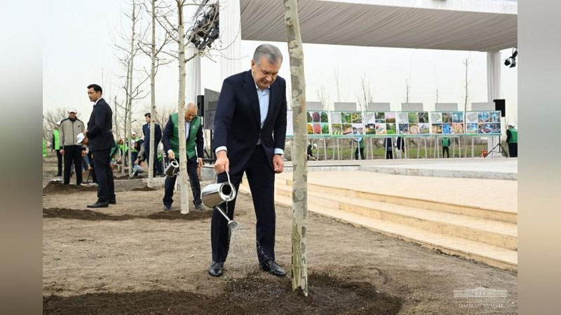 'Mirziyoev Sergelidagi Yoshlar bog`iga ko`chat ekdi (foto)'ning rasmi