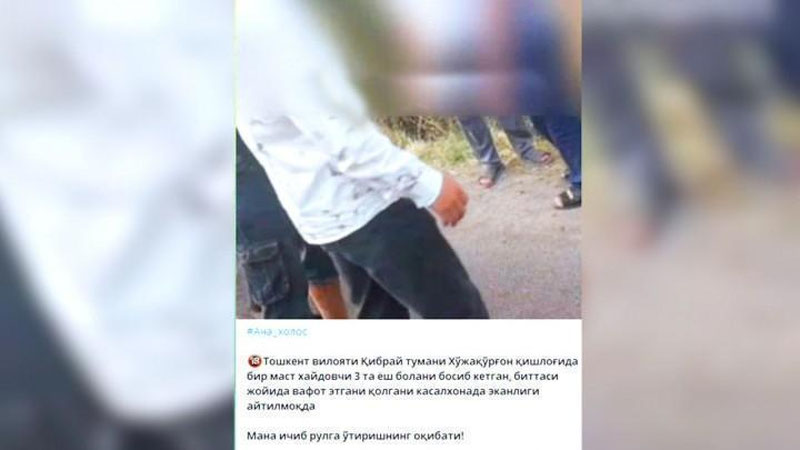 'Qibray tumanida mast haydovchi uch nafar piyodani urib yubordi (video)'ning rasmi