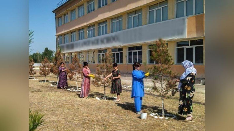 'Surxondaryoda o`qituvchilar majburiy mehnatga jalb qilingani aytildi'ning rasmi