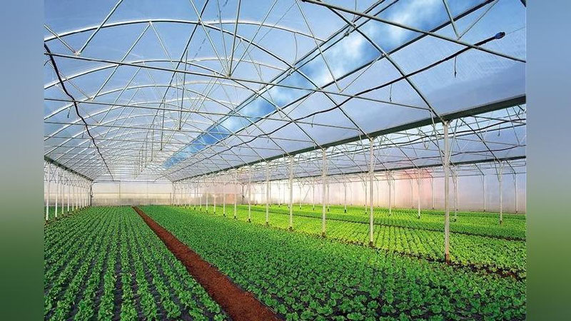 'O`zbekistonda issiqxonalarga tabiiy gaz etkazib berish shartlari ma`lum qilindi'ning rasmi