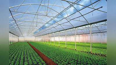 'O`zbekistonda issiqxonalarga tabiiy gaz etkazib berish shartlari ma`lum qilindi'ning rasmi