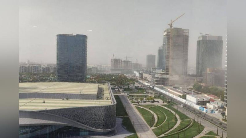 'Toshkentda allergiya qo`zg`atuvchi o`simliklar changlari eng faol ekani aniqlandi'ning rasmi