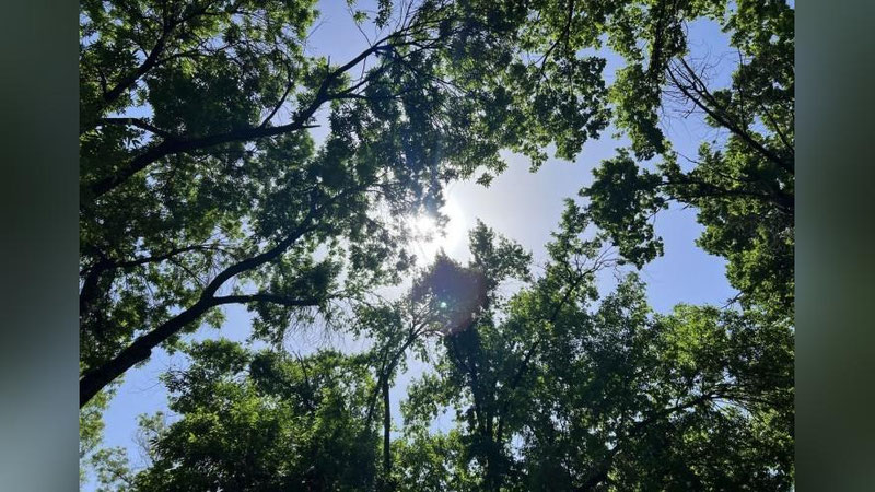 'Qoraqalpog`iston Respublikasi va Xorazm viloyatida ba`zi joylarda qisqa muddatli yomg`ir yog`adi'ning rasmi