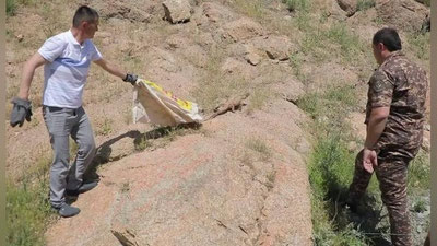 Изрображение 'В дом жителя Алмалыка заполз варан (видео)'