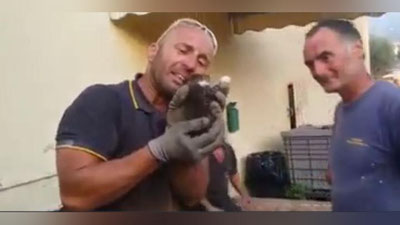 Изрображение 'Трогательное видео: итальянский пожарный спас котенка и расплакался'