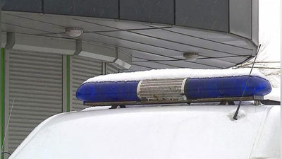 '​Keksa ayolni g`ajib o`ldirgan itlarni qo`yib yuborgan qo`riqchi qo`lga olindi'ning rasmi