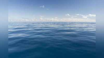 'So`qir dengizchi Tinch okeanini suzib o`tdi 'ning rasmi