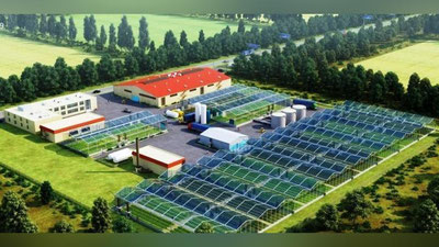 Изрображение 'ОСНОВОЙ НОВОЙ СЭЗ В УЗБЕКИСТАНЕ СТАНУТ ТЕПЛИЧНЫЕ ХОЗЯЙСТВА'