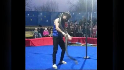 'Bo`g`ma ilon sirk artistini namoyish paytida bo`g`ib qo`ydi (Video) 'ning rasmi