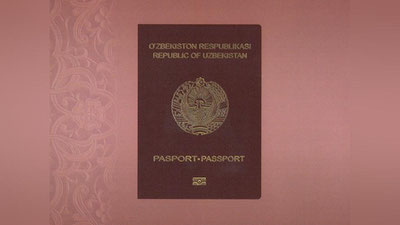 Изрображение 'Установлен порядок получения загранпаспорта через ЕПИГУ'