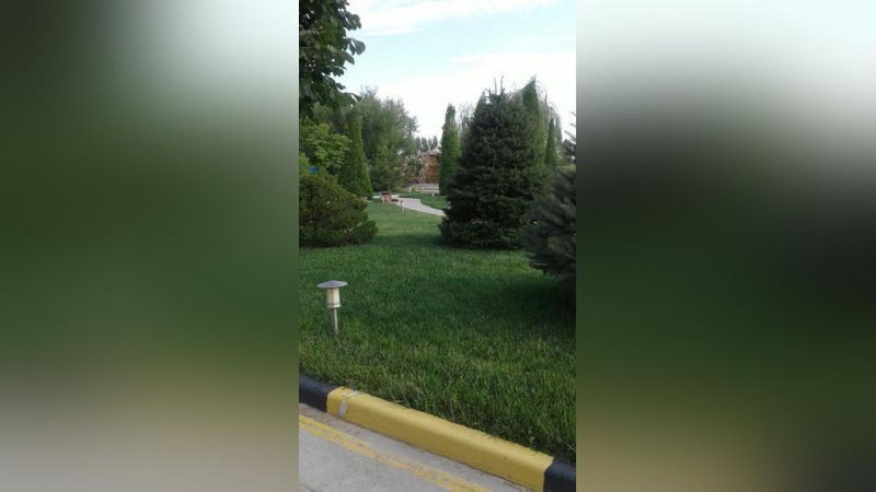 Изрображение 'В каких регионах 22 июня синоптики не исключают кратковременные дожди?'