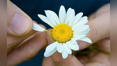 '​Gormonlar «qo`zg`oloni»ning 10 belgisi'ning rasmi