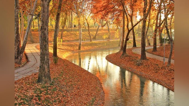 ' 1 NOYaBR KUNI MAMLAKATIMIZDA KUTILAYoTGAN OB-HAVO MA`LUMOTI'ning rasmi