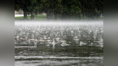 Изрображение 'В выходные дни немного похолодает, возможны кратковременные дожди'