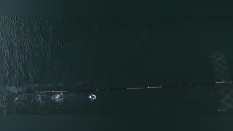 Изрображение 'МАЙКЛ ФЕЛПС ПРОИГРАЛ БЕЛОЙ АКУЛЕ В ЗАПЛЫВЕ НА 100 МЕТРОВ (ВИДЕО)'