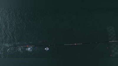 Изрображение 'МАЙКЛ ФЕЛПС ПРОИГРАЛ БЕЛОЙ АКУЛЕ В ЗАПЛЫВЕ НА 100 МЕТРОВ (ВИДЕО)'