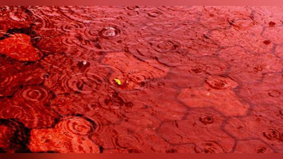 'Rossiyada “qonli” yomg`ir yog`di (Video)'ning rasmi