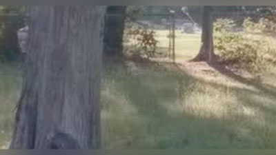 'Google Maps orqali bolakayning arvohi topildi (Video)'ning rasmi