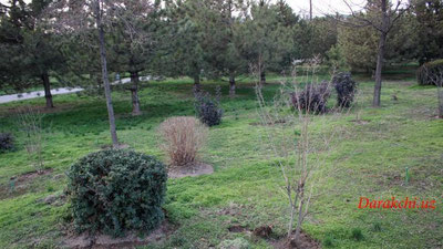 'Бугун Ўзбекистонда 17 даража илиқ бўлади'ning rasmi