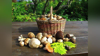 '​Zamburug`larni xarid qilishda nimalarga e`tibor berish kerak?'ning rasmi