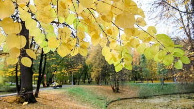 'Yangi ish haftasida qanday ob-havo kuzatiladi?'ning rasmi