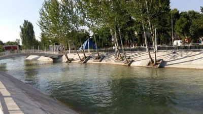 Изрображение 'ГУВД поощрит смелого парня, вытащившего девушку из канала'