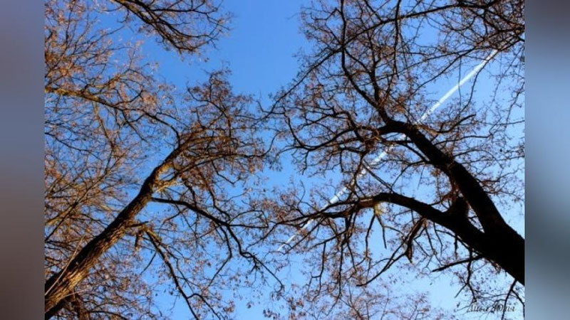 Изрображение 'Какая погода ожидается 27 февраля в Узбекистане?'