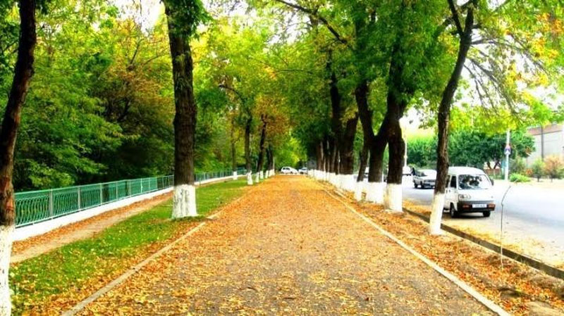 'Bugun O`zbekistonning ba`zi hududlarida shamol kuchayishi mumkin'ning rasmi