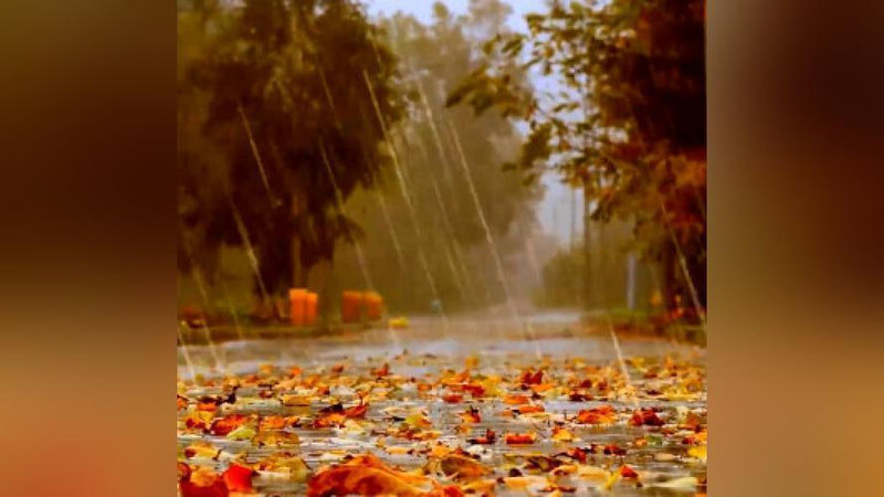 'Бугун Ўзбекистонга Туркманистондан нам ва салқин ҳаво кириб келиши кутилмоқда'ning rasmi