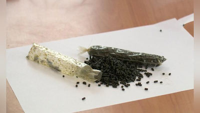 Изрображение 'В России предложили включить насвай в реестр наркотических веществ'