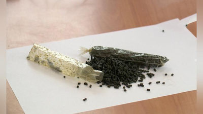 Изрображение 'Вызывает ли насвай онкологию: ответы экспертов Узбекистана'