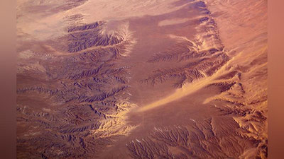 'Gobi sahrosida dinozavr skeleti topildi'ning rasmi