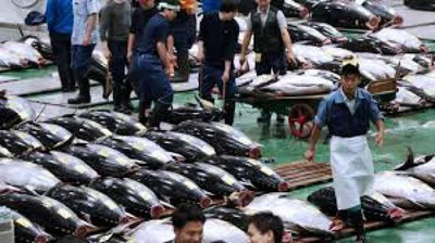 'Yaponiyadagi eng katta baliq bozori ko`chirildi'ning rasmi