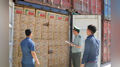 'Salkam 14 mlrd bojxona to`lovini to`lamagan korxona aniqlandi'ning rasmi