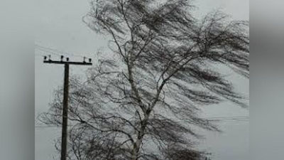 'BEKOBODDAGI KUChLI ShAMOL  AHOLIGA JIDDIY JARAR ETKAZDI'ning rasmi