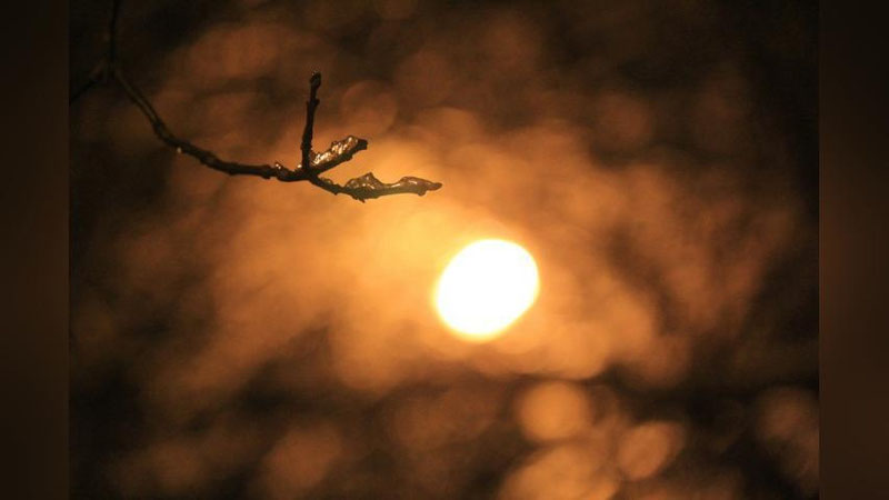 Изрображение 'ПОГОДА НА 23 ФЕВРАЛЯ: НОЧЬЮ МОРОЗЫ, ДНЕМ ТЕПЛО'