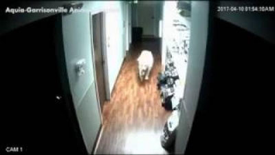 '​Ит ҳайвонлар даволанадиган шифохонадан эшикларни ўзи очиб, қочиб кетди (Видео)'ning rasmi